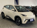 BYD DOLPHIN MINI - Foto 1